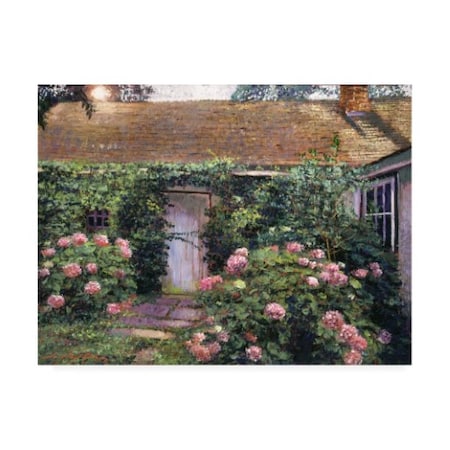 Trademark Fine Art David Lloyd Glover 'Old Cottage Hydrangeas' Canvas Art, 24x32 DLG01091-C2432GG